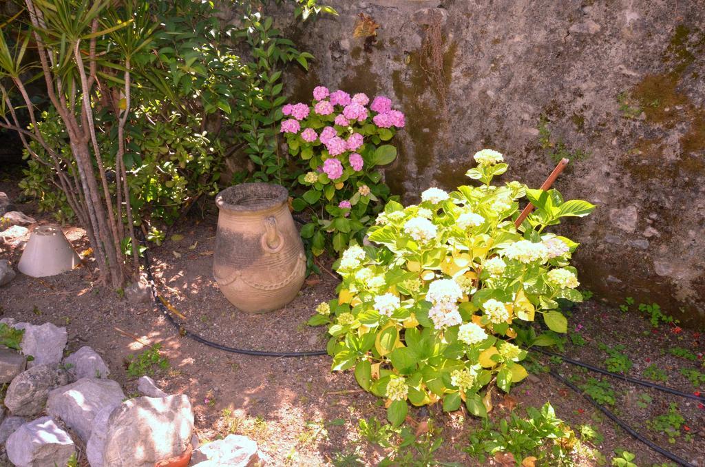 Hotel Del Sole Al Plebiscito Sapri Εξωτερικό φωτογραφία